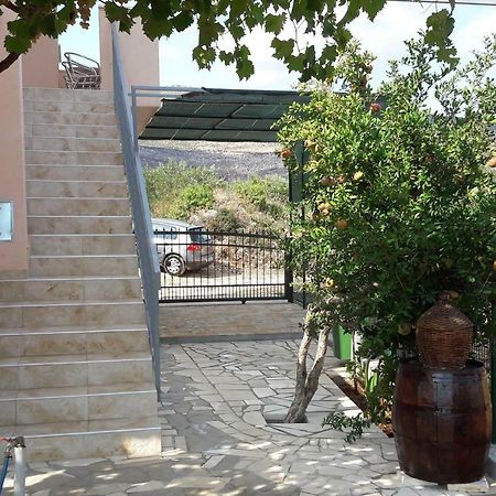 Guest House Pelja Plano Ngoại thất bức ảnh